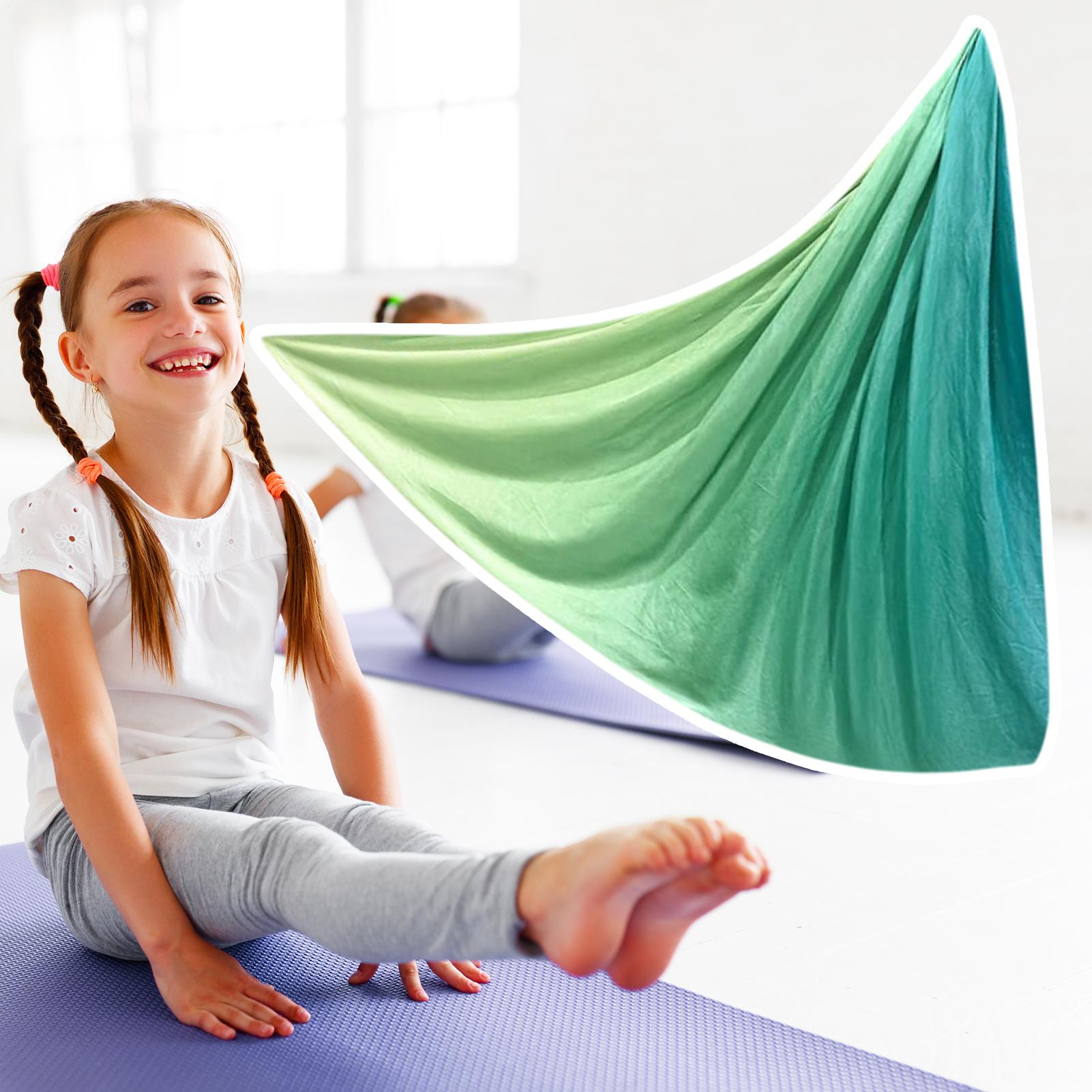 Yoga Swing Aerial Silks Elasti - Aerial Silk Hammock 评论和价格